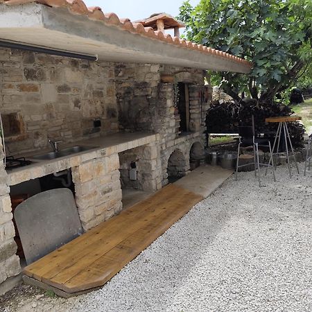 Apartament Marti'S House In The Olive Grove Fažana Zewnętrze zdjęcie