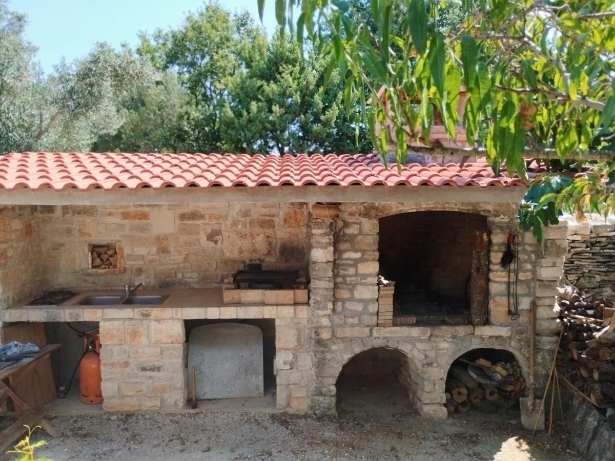 Apartament Marti'S House In The Olive Grove Fažana Zewnętrze zdjęcie