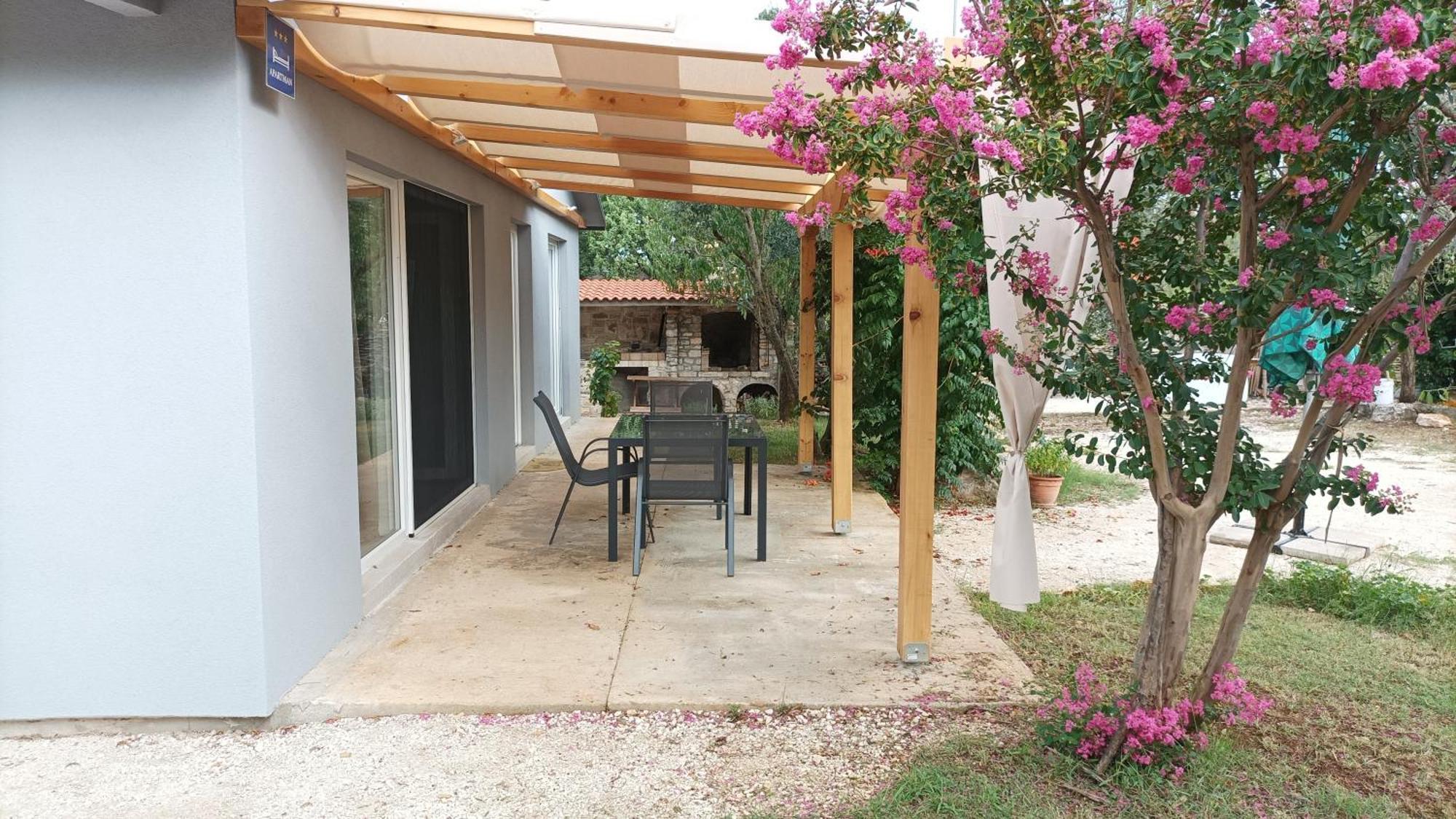Apartament Marti'S House In The Olive Grove Fažana Zewnętrze zdjęcie