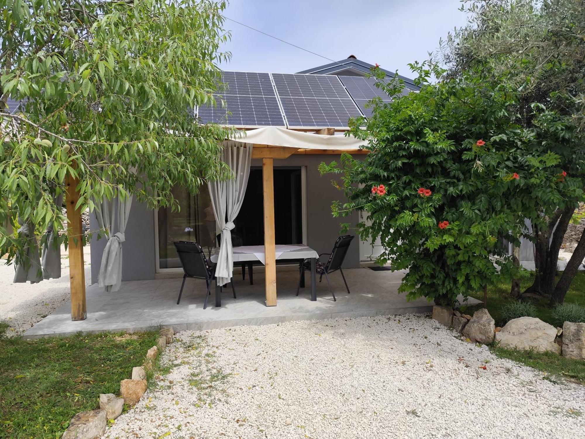 Apartament Marti'S House In The Olive Grove Fažana Zewnętrze zdjęcie