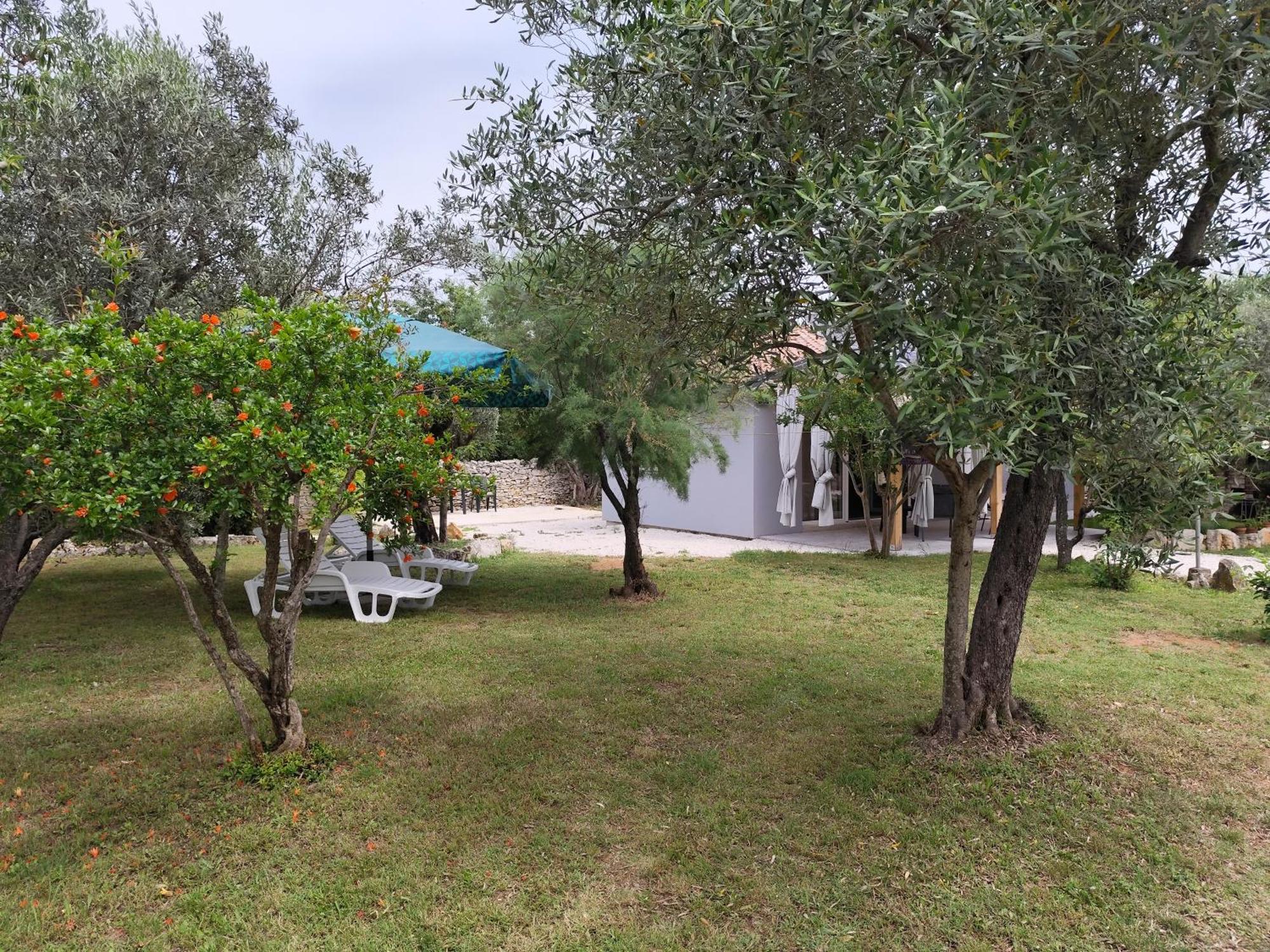 Apartament Marti'S House In The Olive Grove Fažana Zewnętrze zdjęcie